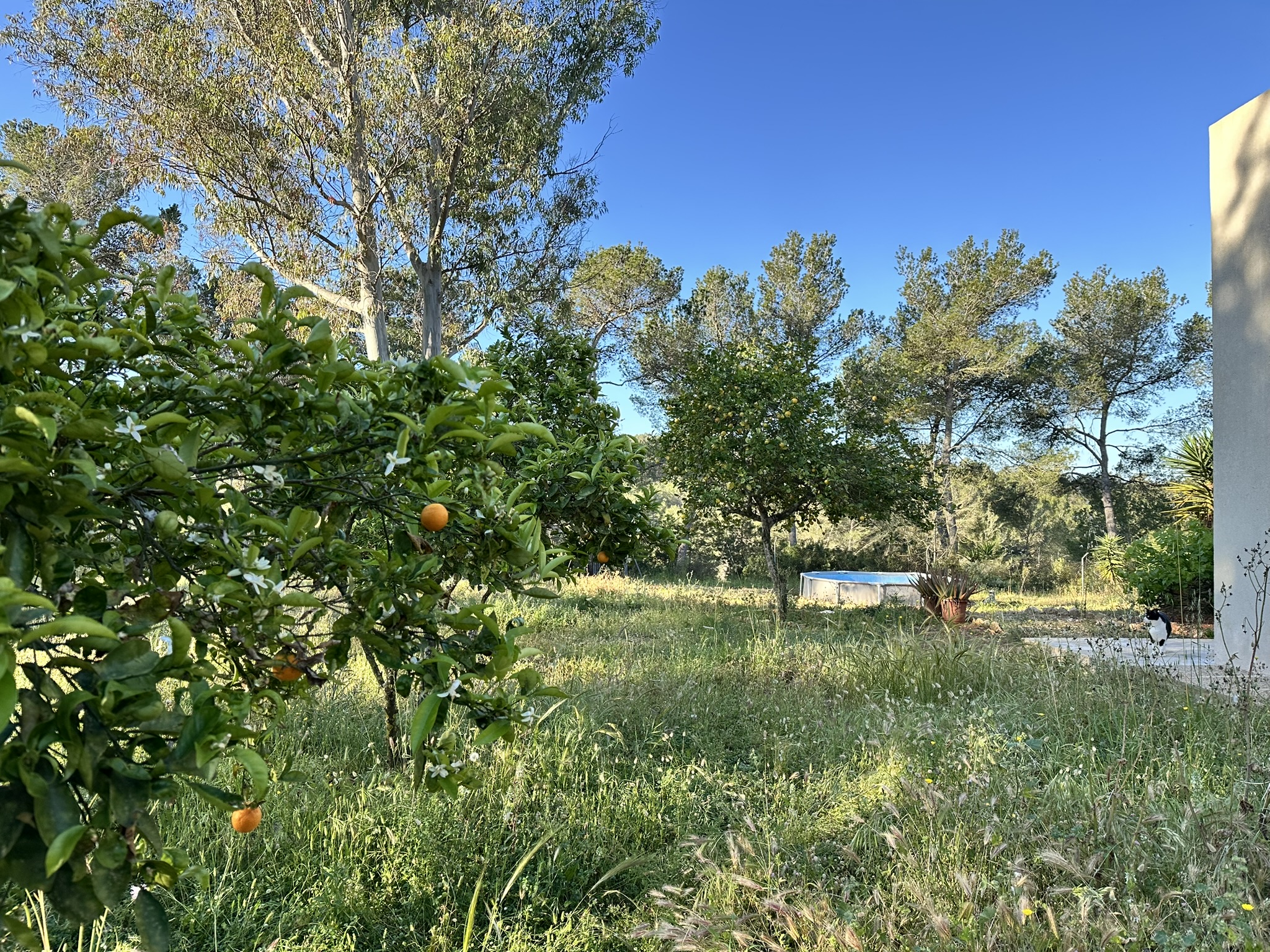 0A5A6C7C-CBCF-40DD-BF14-352061A91EB6_1_102_o