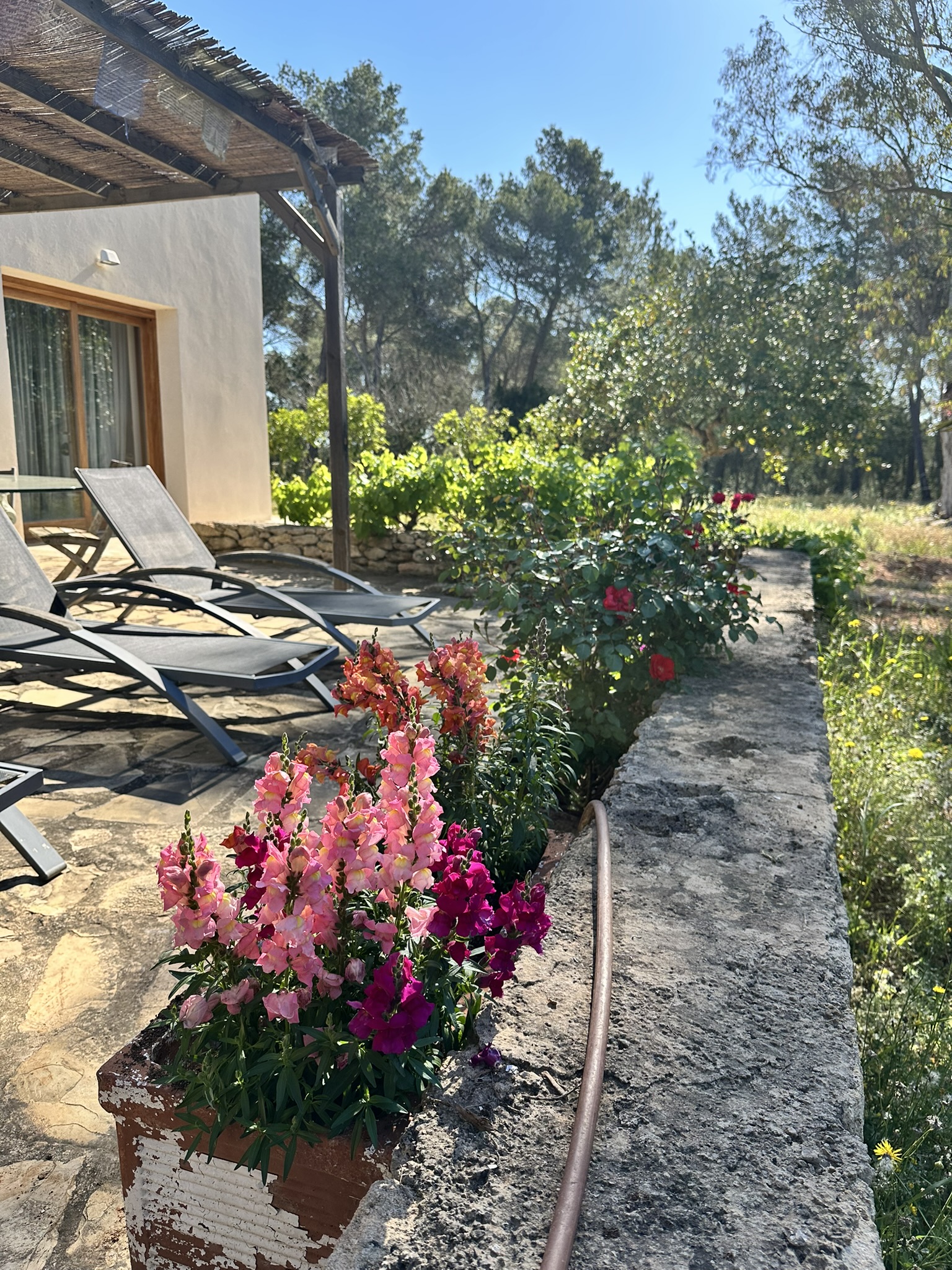 22753517-5392-4B13-92E1-C55DAD8D9683_1_102_o