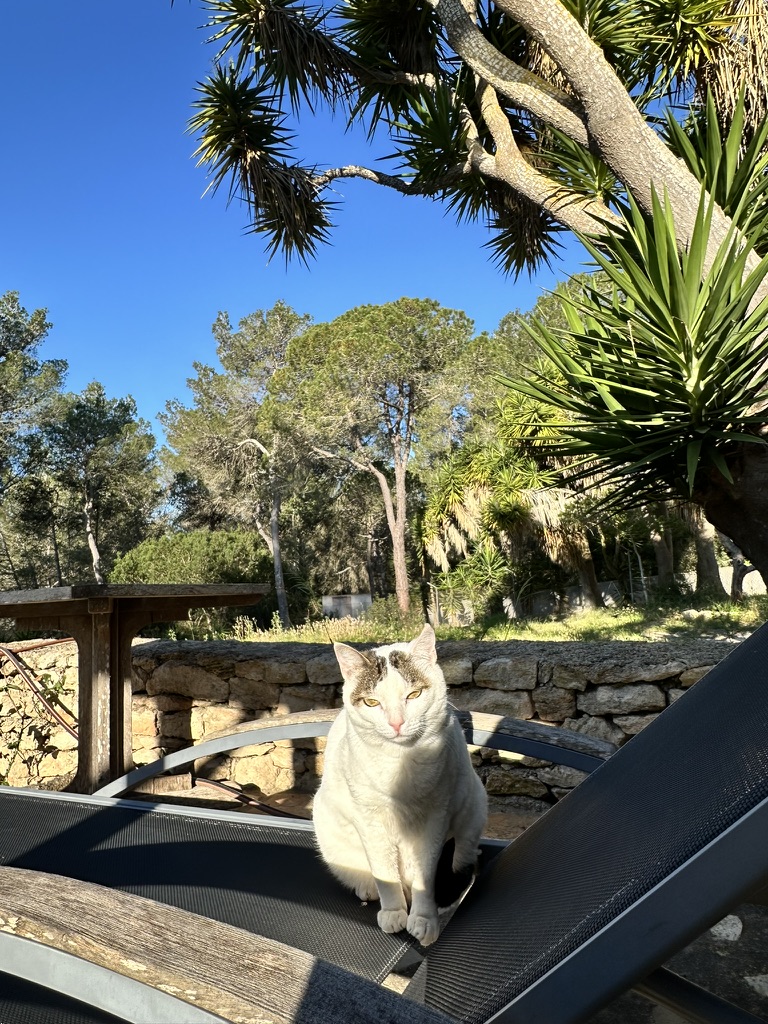 28343C88-99EF-4FD8-9CD8-A75AB6873C11_1_105_c