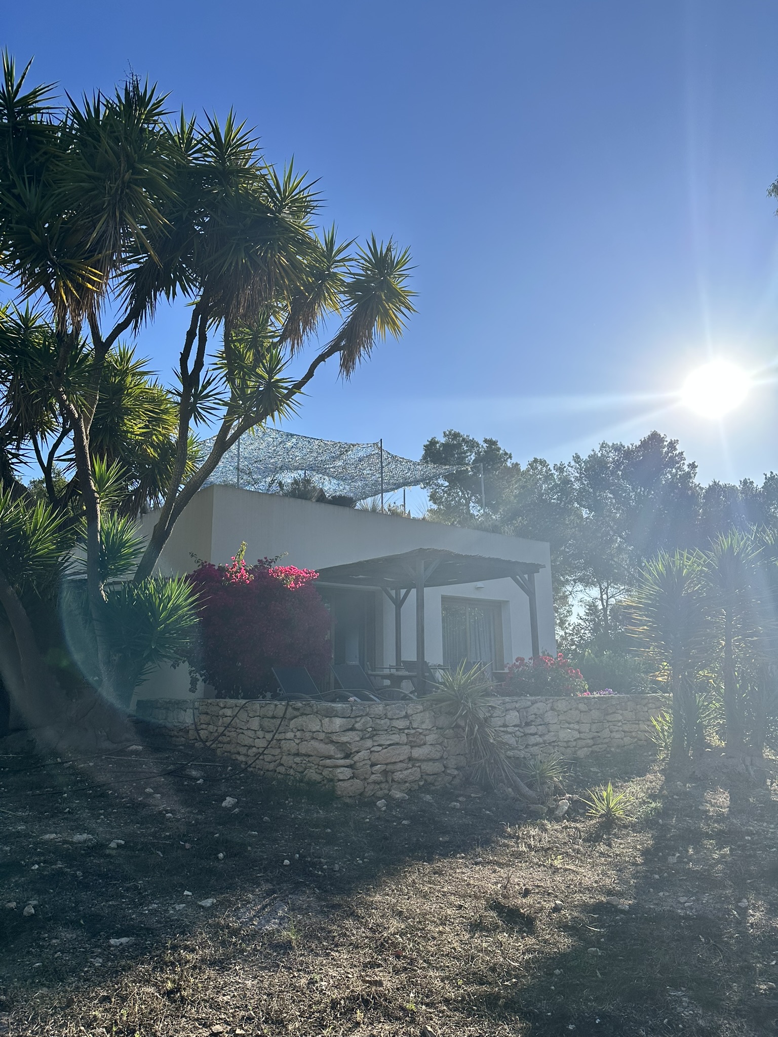 35B1E6E3-17D1-4C5F-B042-75242763D784_1_102_o