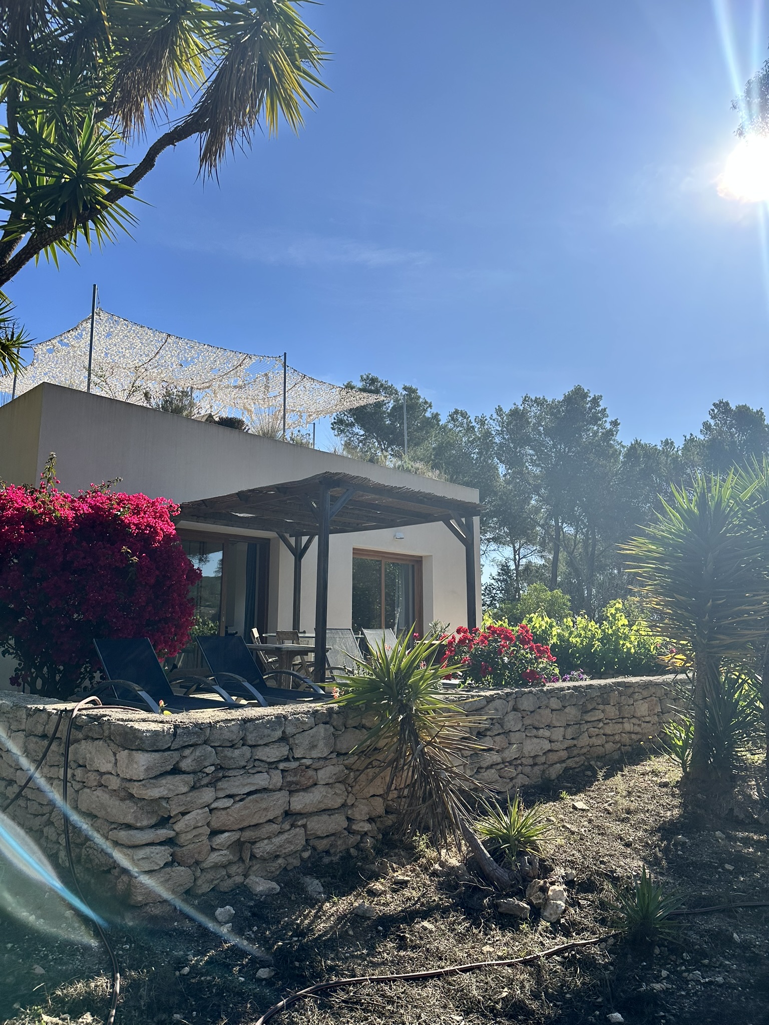 4C5DEED4-4776-4658-A874-433F63A75484_1_102_o