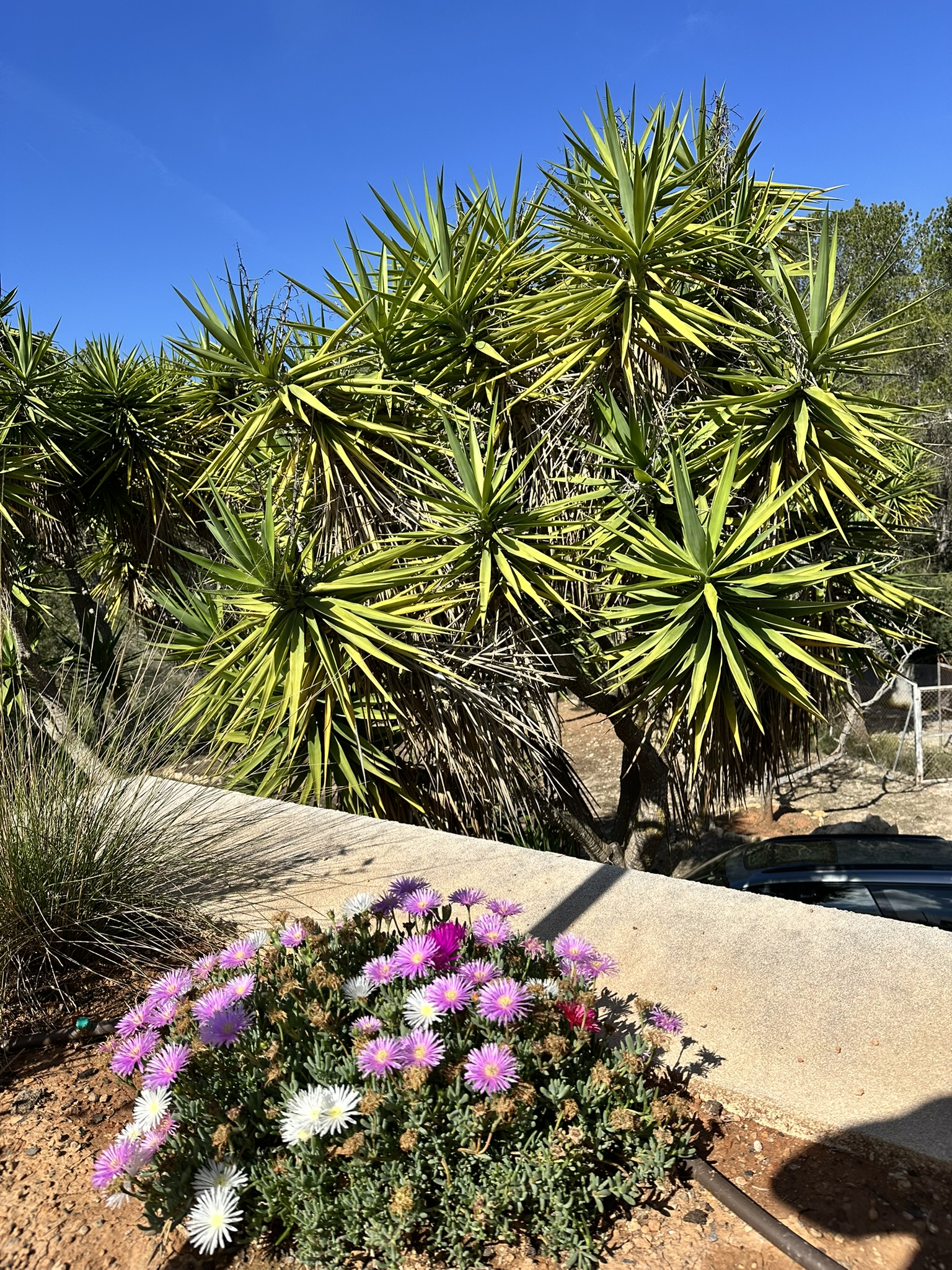 5268539B-0D19-4161-A86F-54A7749A9F83_1_102_o