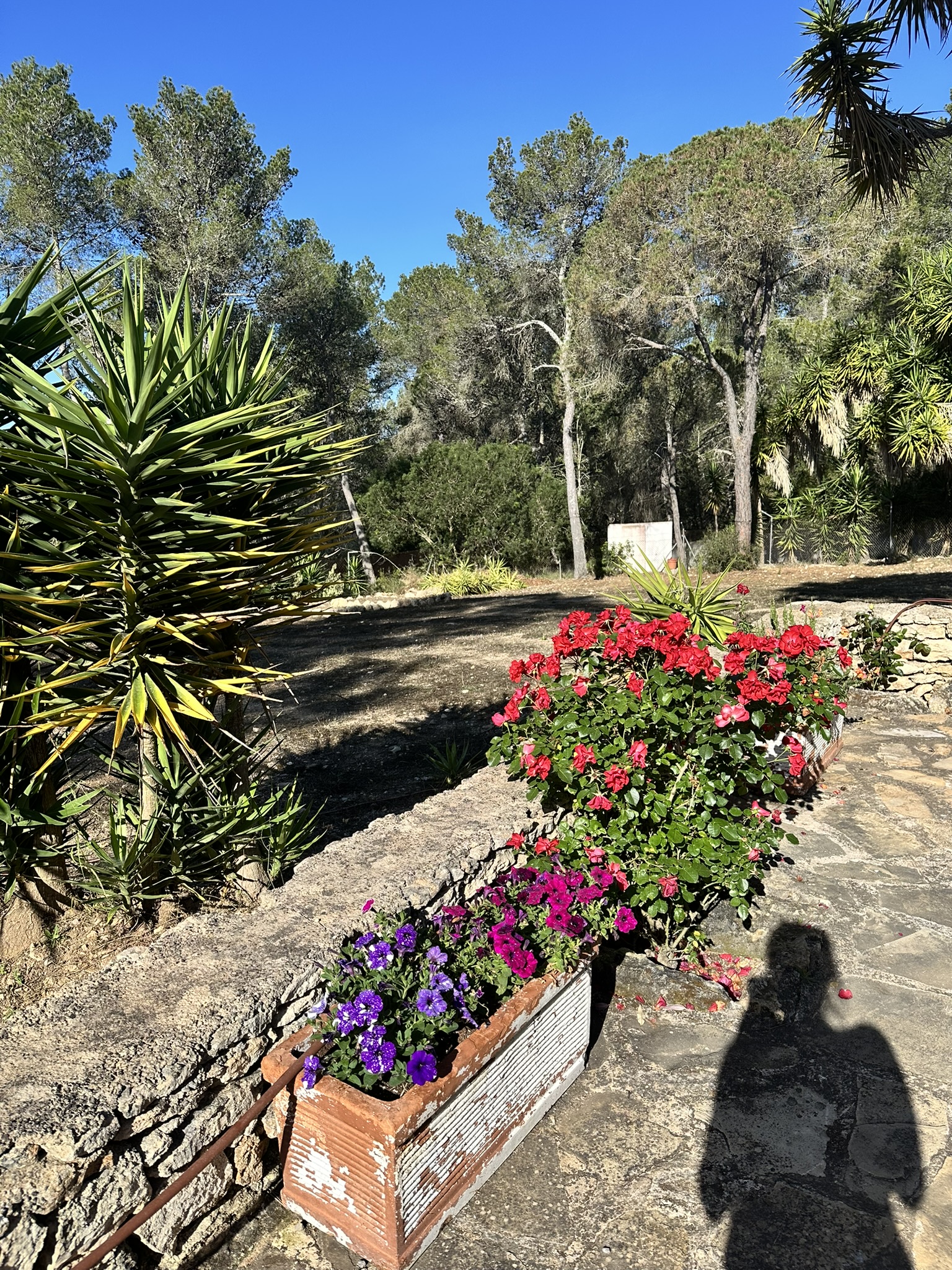 62CF8CC4-317A-4401-BA9A-B623E5A798ED_1_102_o