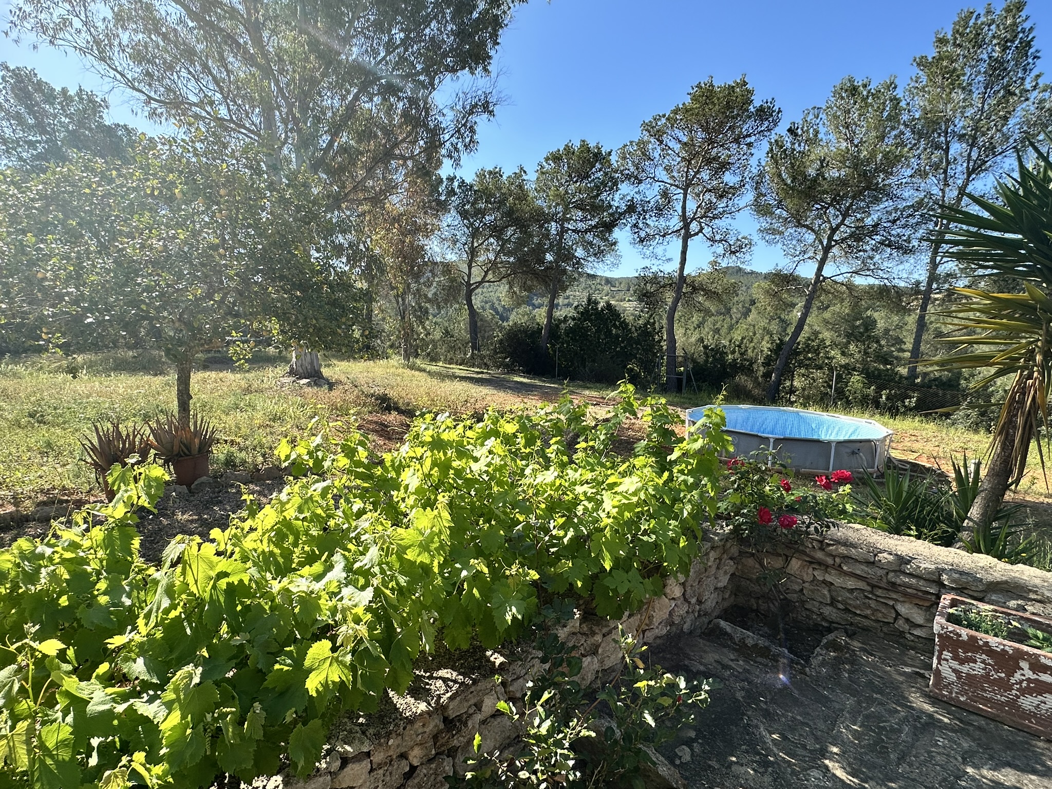 67A09167-7582-4488-B19F-DBC136E6B8D8_1_102_o