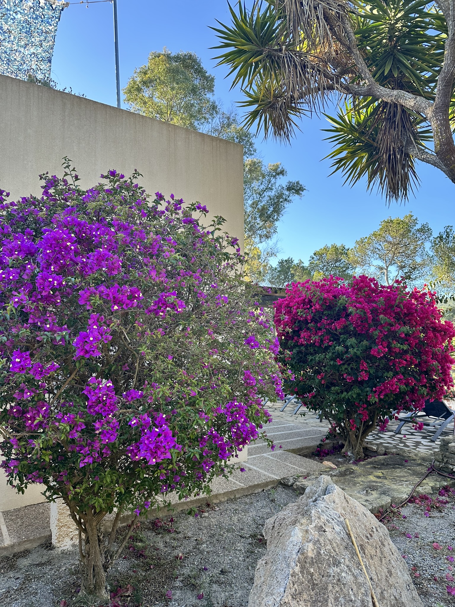 7A5C5DCE-3926-445A-9489-FE4099927186_1_102_o