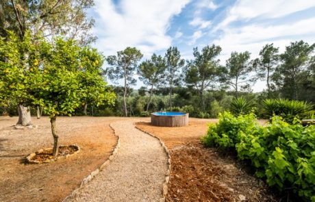 8EBB5434-117F-44A6-81BA-F6152CD3ECD1_4_5005_c