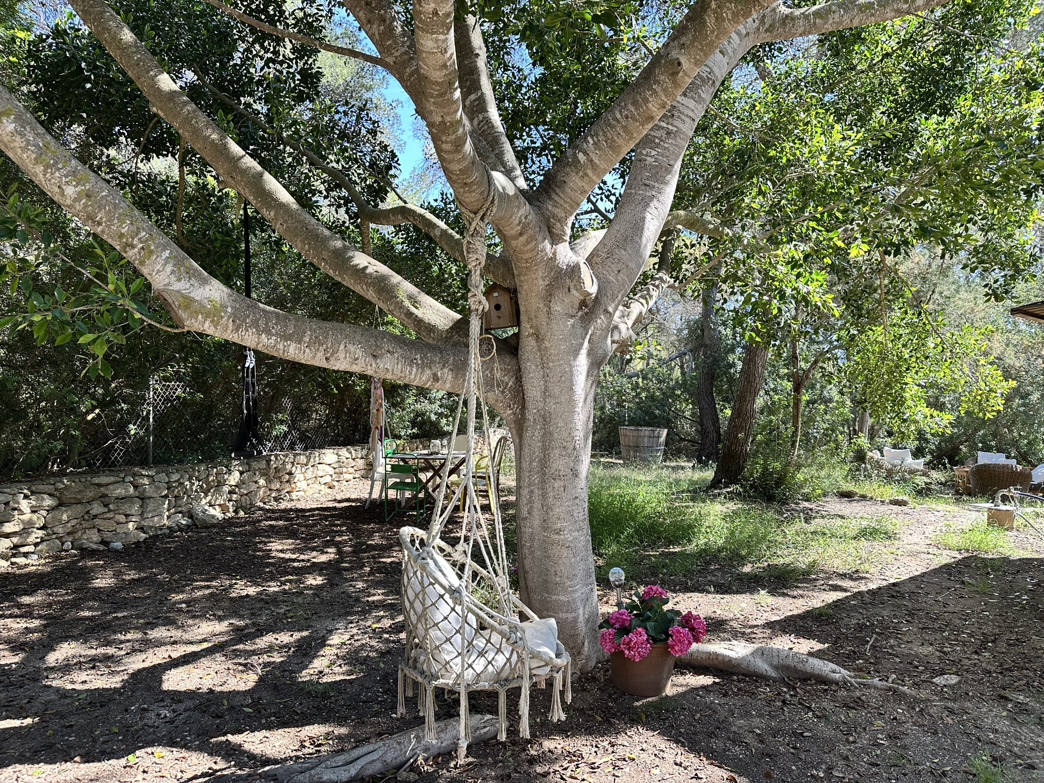 B1A0144D-47B5-4235-8F54-90AFE7D2F531_1_102_o