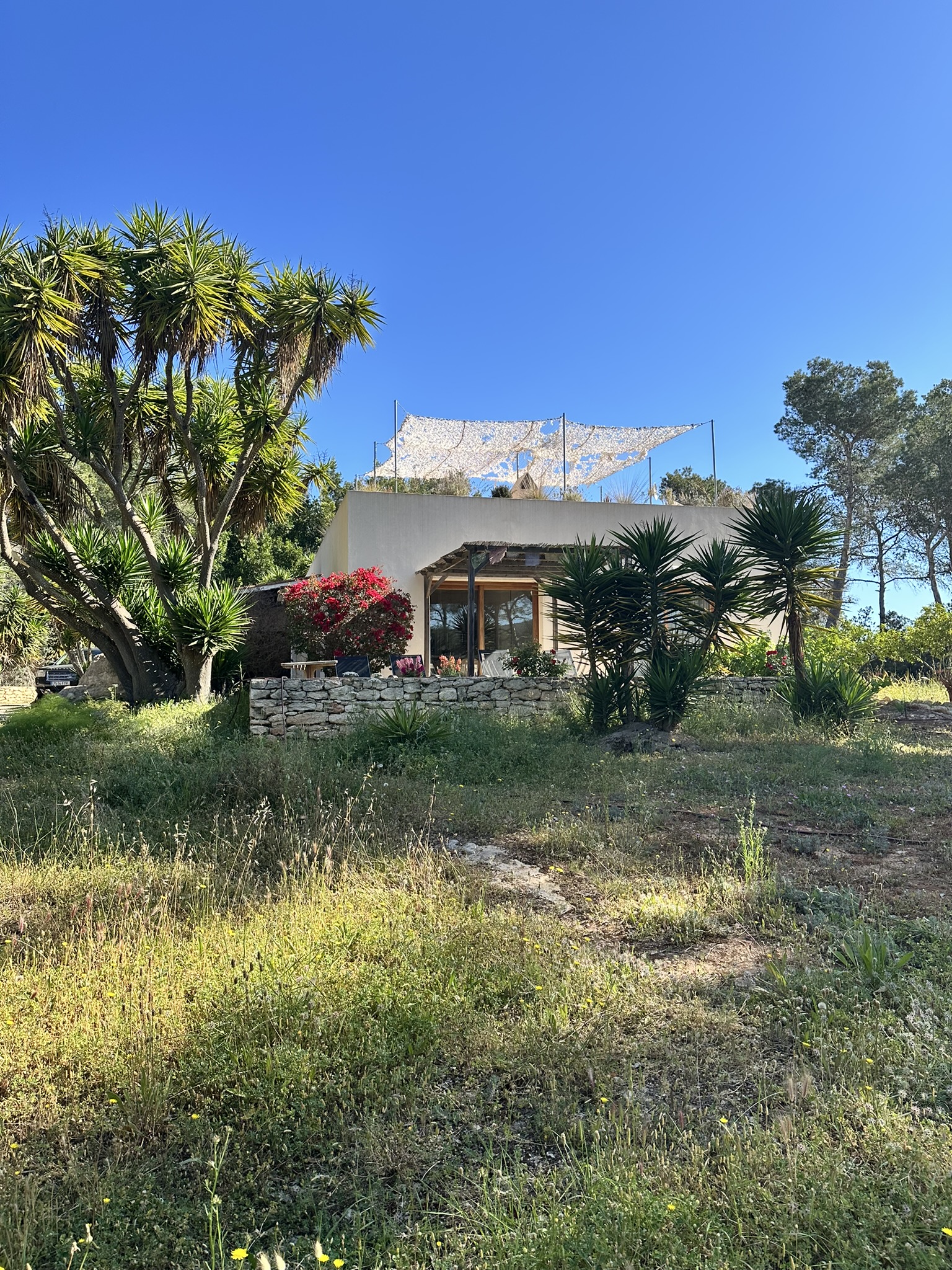 BF2F894D-D43B-4B49-BBD2-467A8A424D3D_1_102_o