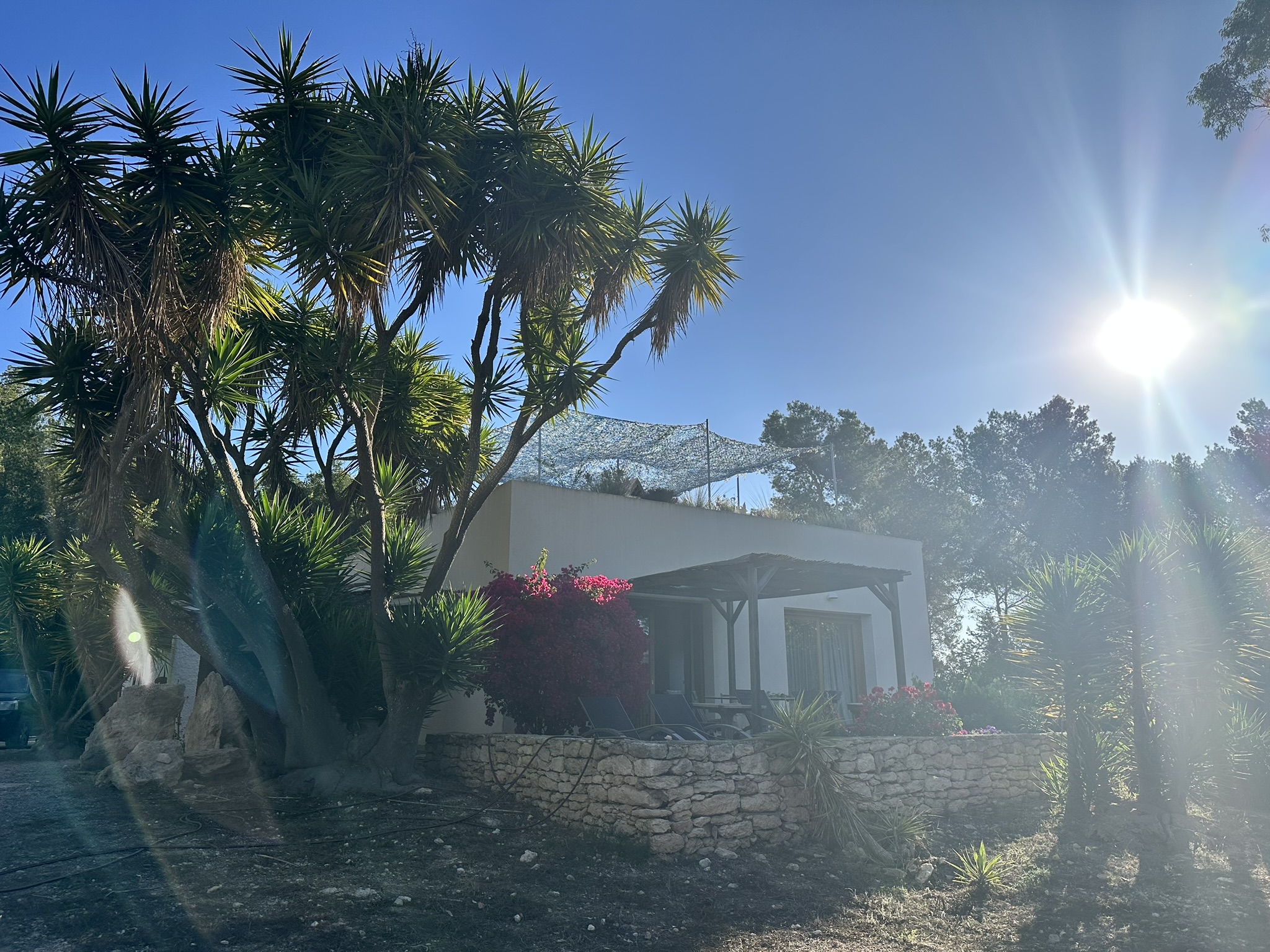 C3298026-E5D7-4ACD-82E1-89223323541C_1_102_o