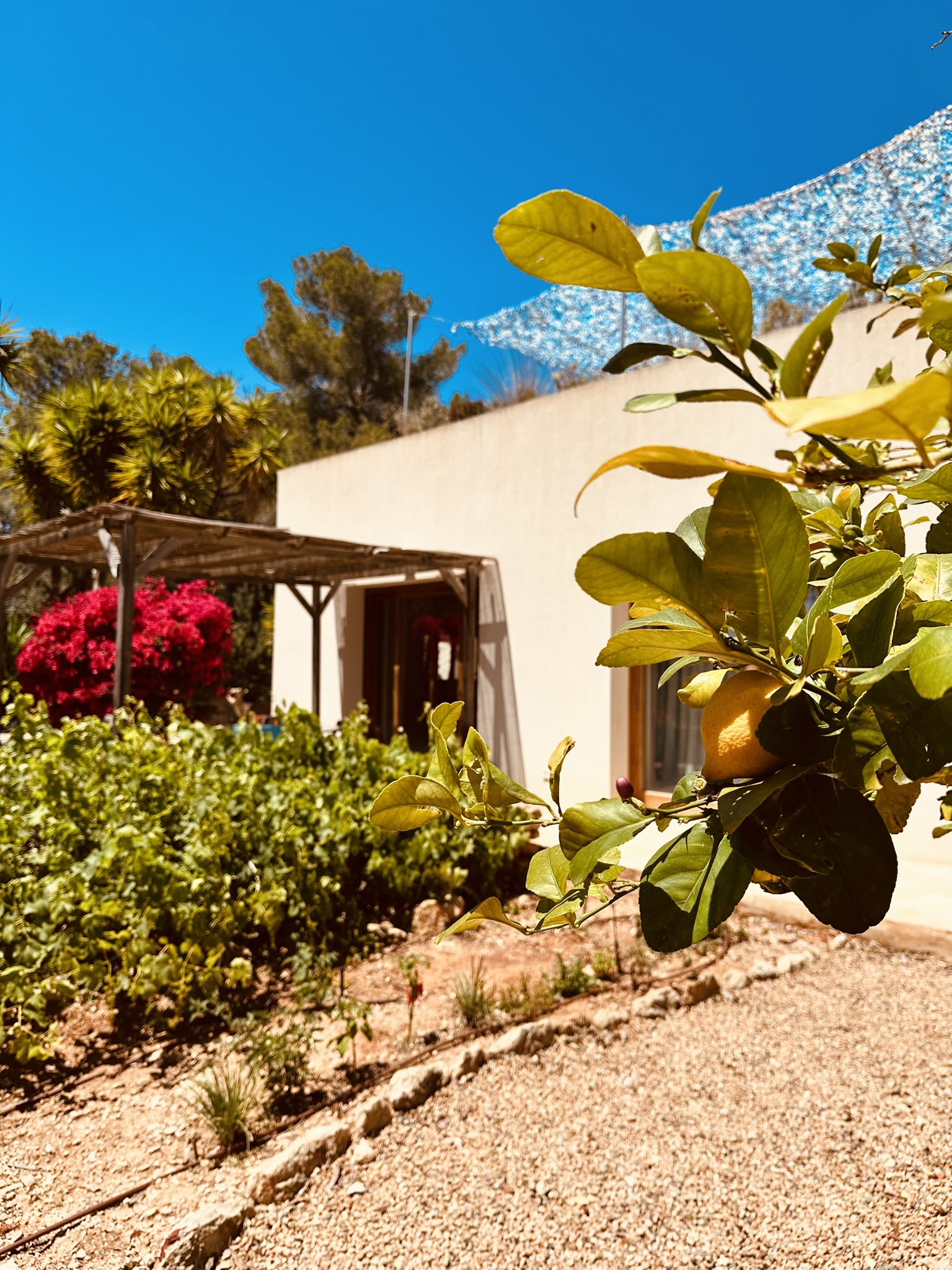 CB64DD63-FAB8-4F75-BCF3-070FC7487498_1_102_a