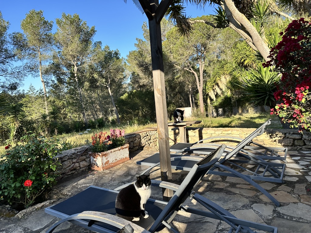 E86BA321-9CC6-434B-99A0-4EC431DF079F_1_105_c