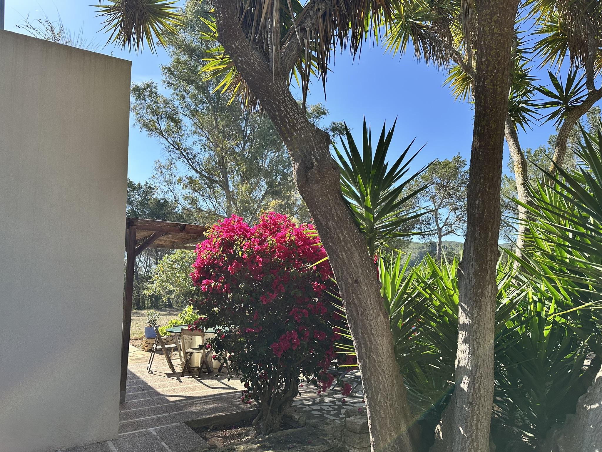 EFB40B50-1626-4533-AE43-3E05C773F134_1_102_o