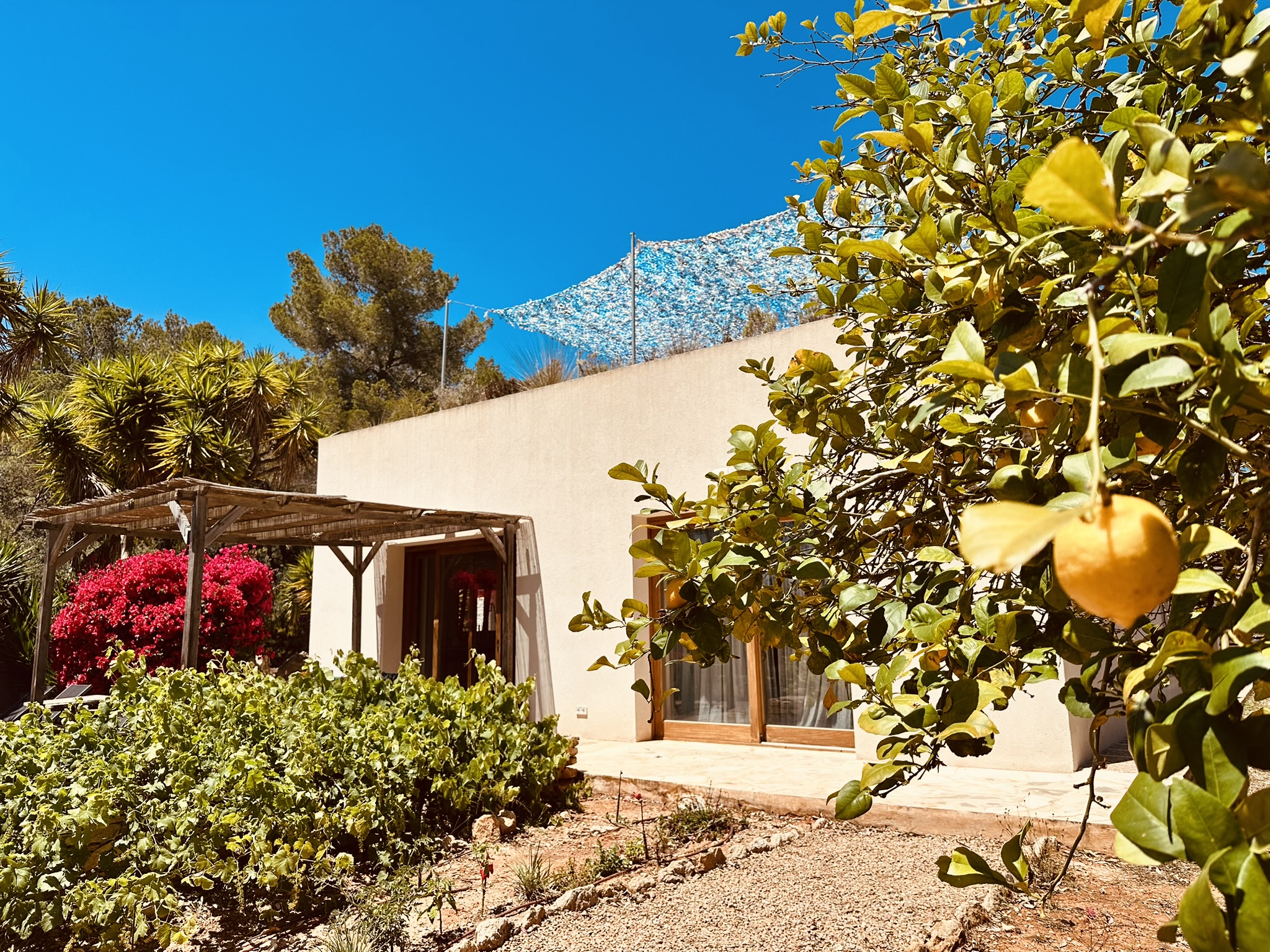 F1F56E9C-A464-4F2D-850D-8A64B53A9537_1_102_a